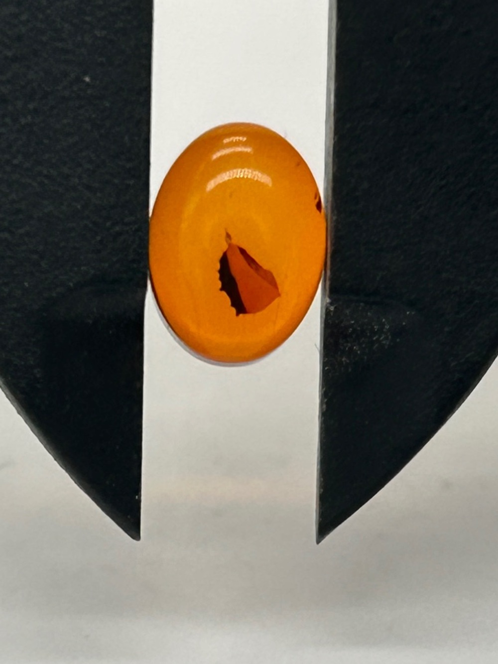 Genuine Baltic Amber Loose Stone